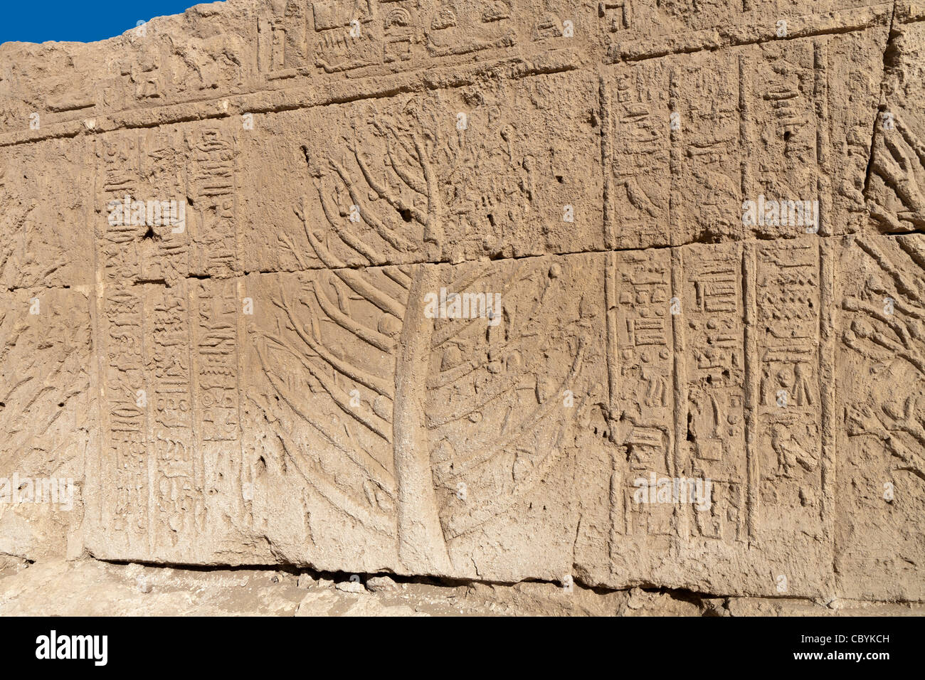 Carved tree from Punt in the Ptolemaic Temple in Wanina, southwest of Akhmim in the Governorate of Sohag, Middle Egypt Stock Photo