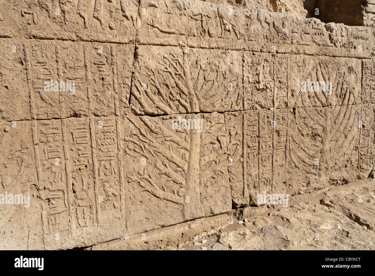 Carved trees from Punt in the Ptolemaic Temple in Wanina, southwest of Akhmim in the Governorate of Sohag, Middle Egypt Stock Photo