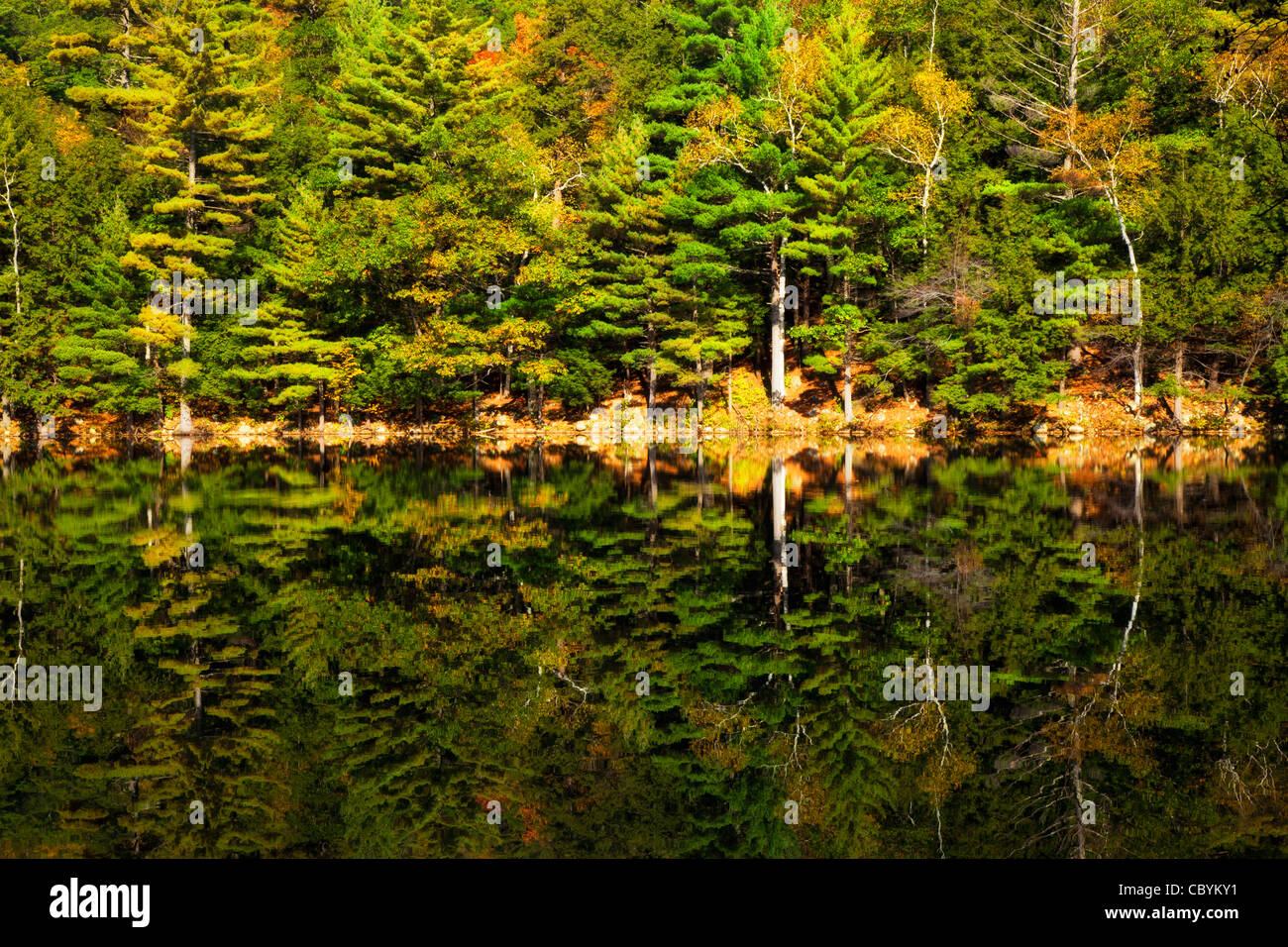 Reflection on Emerald Lake, Vermont Stock Photo Alamy