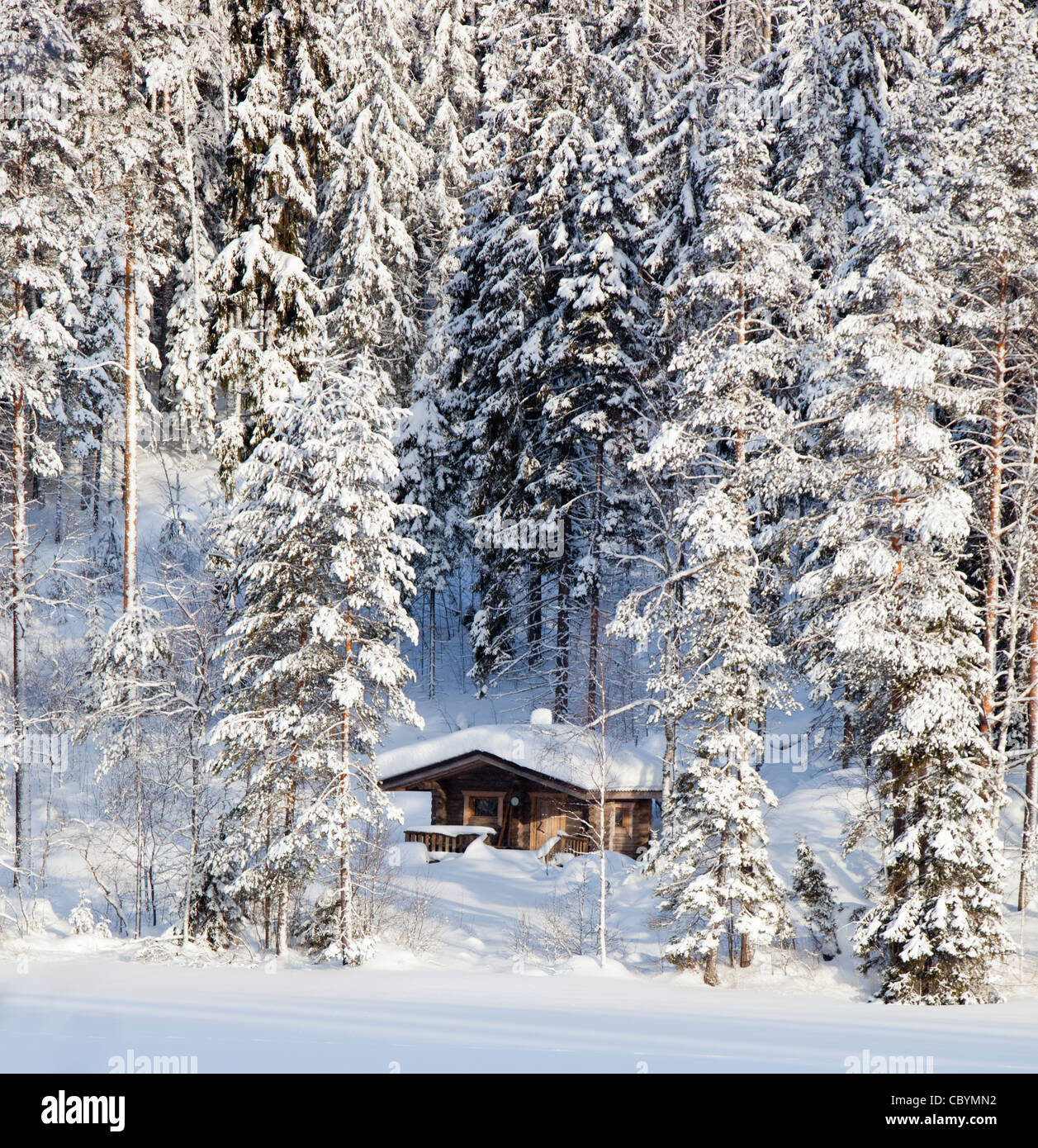Small wooden sauna cabin made of logs in the snowy taiga forest by a frozen  lake at Winter , Finland Stock Photo - Alamy