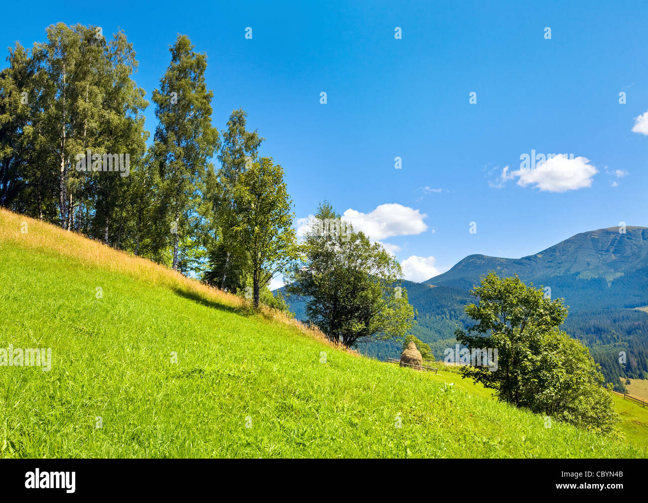Summer mountain landscape with haystack on slope. Stock Photo