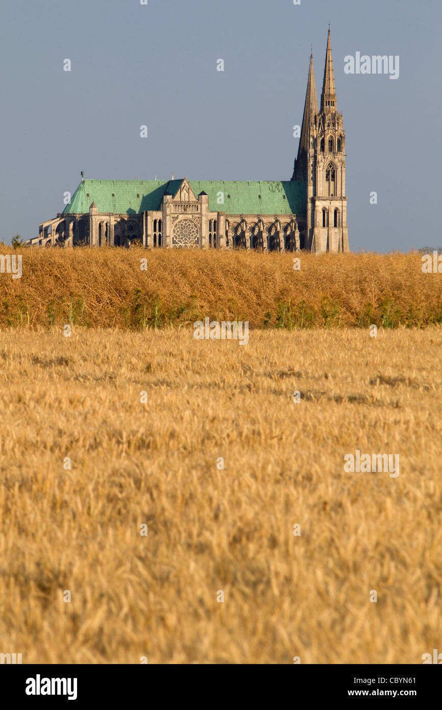 Europe france cereal chartres eure hi-res stock photography and images ...