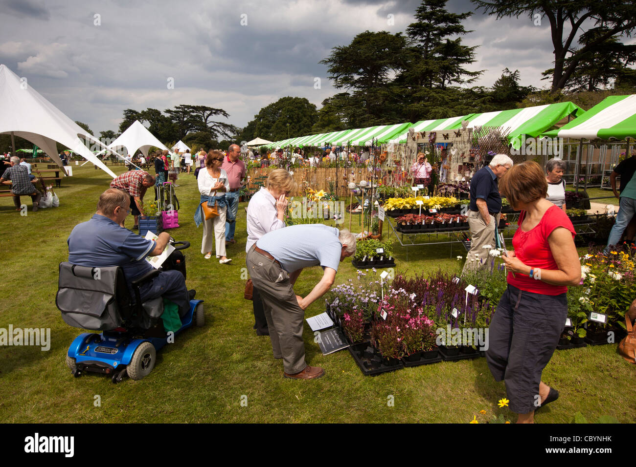 UK, England, Bedfordshire, Woburn Abbey Garden Show, visitors looking at plant stalls Stock Photo