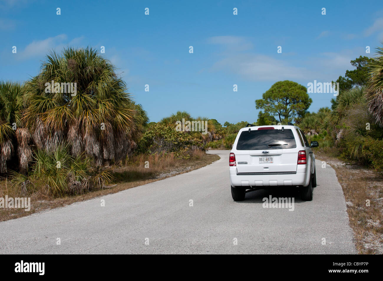 Honeymoon Island State Park on the Gulf Coast Florida USA Stock Photo Alamy