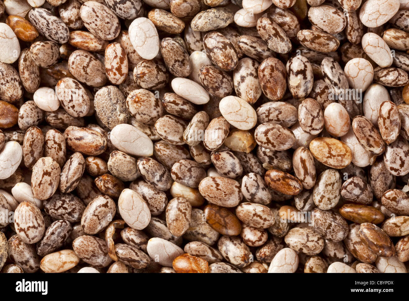 background of organic chia seeds rich in omega3 fatty acids, two times