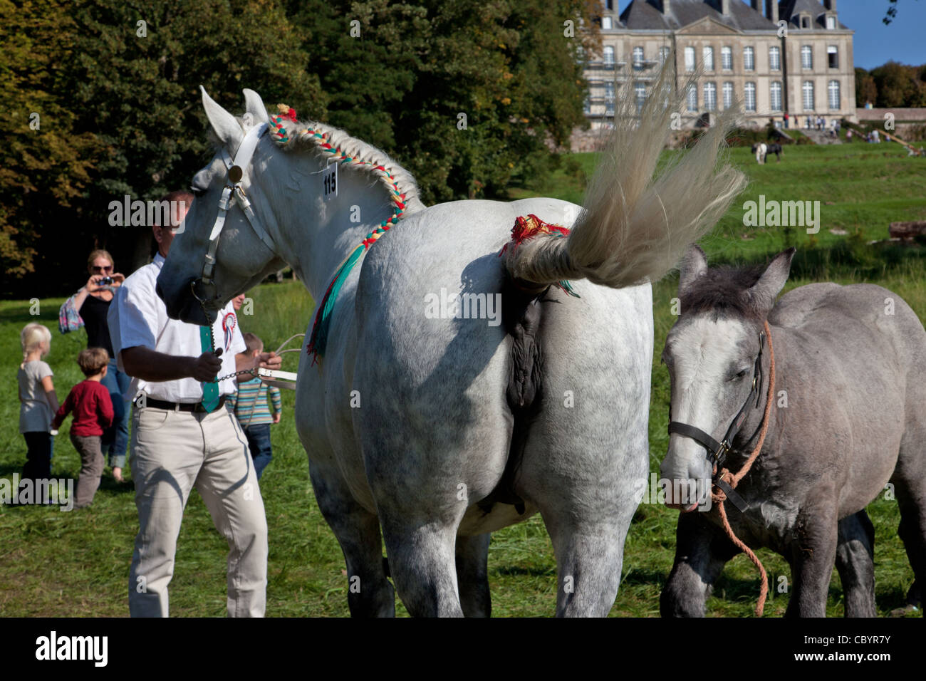 Normandie parade hi-res stock photography and images - Alamy