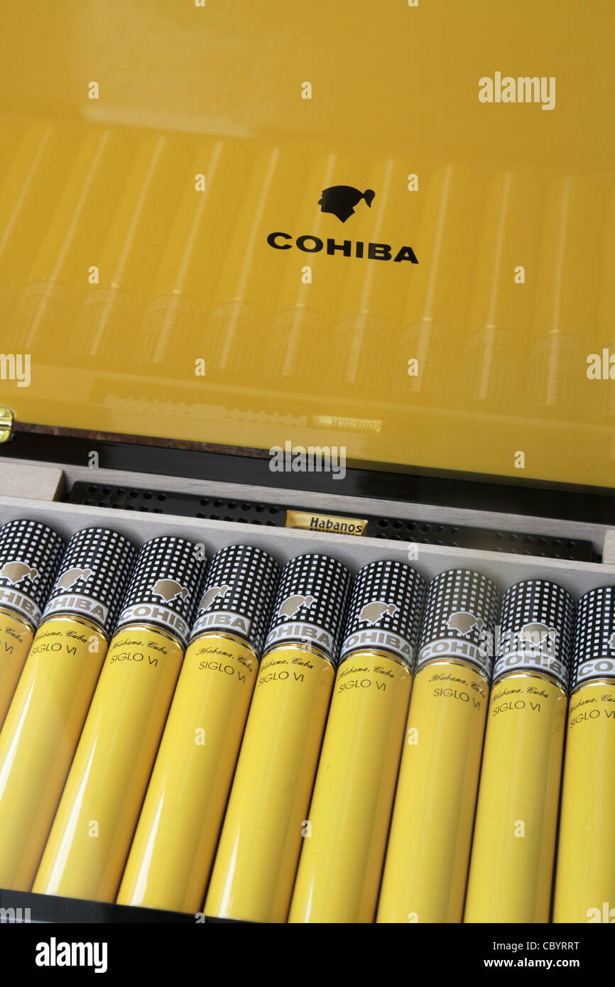BOX OF COHIBA CIGARS, LONDON, ENGLAND Stock Photo Alamy