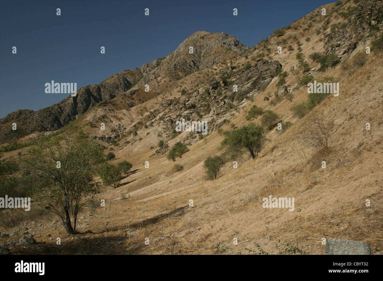 Semi-desert mountain vegetation in Ramit National Park, Hissar Range, Pamiro-Alay, Tajikistan Stock Photo