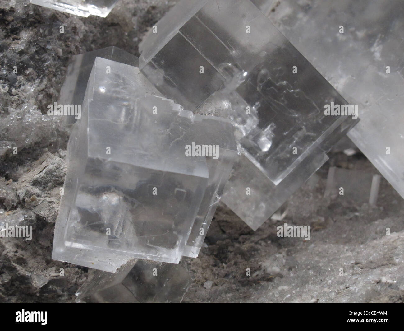 Rock Salt Crystal Cube also Called Halite,  a mineral form of sodium chloride (NaCl). Stock Photo