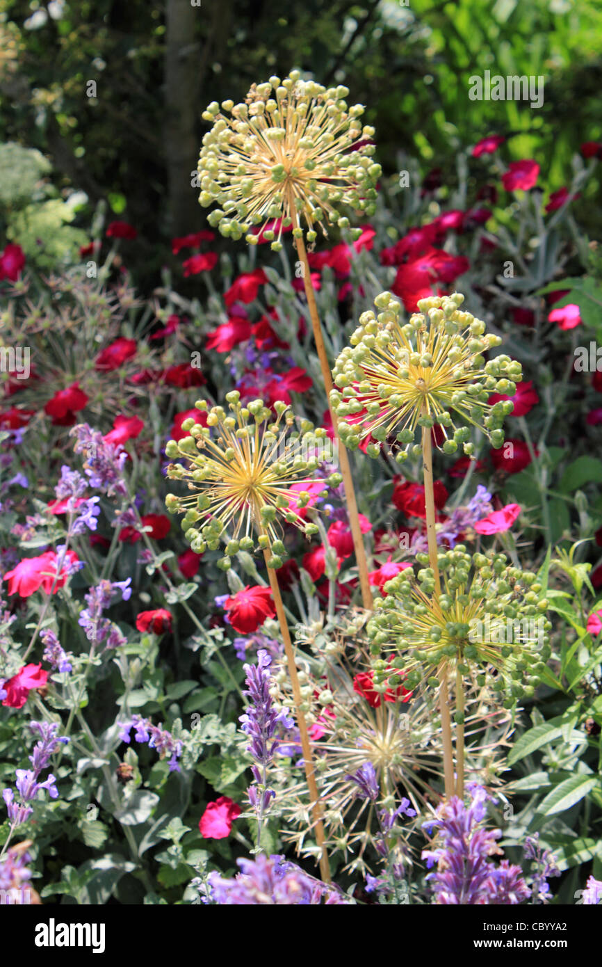 Mixed border hires stock photography and images Alamy