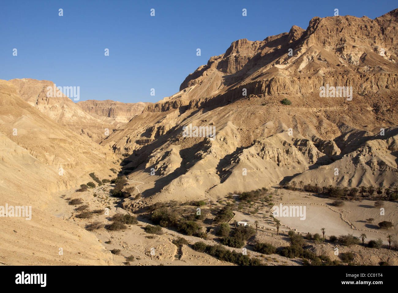 ENTRANCE TO THE VALLEY OF WADI ARUGOT, SEEN FROM THE KIBBUTZ IN THE EIN GEDI NATURE RESERVE, REGION OF THE DEAD SEA, ISRAEL Stock Photo