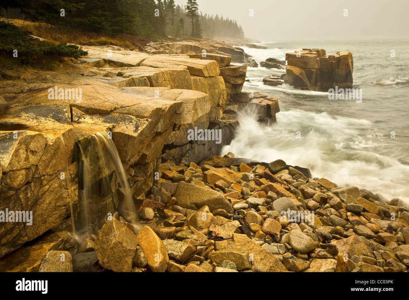 Waterfall along the shoreline of Schoodic Peninsula in Acadia National Park, Maine Stock Photo