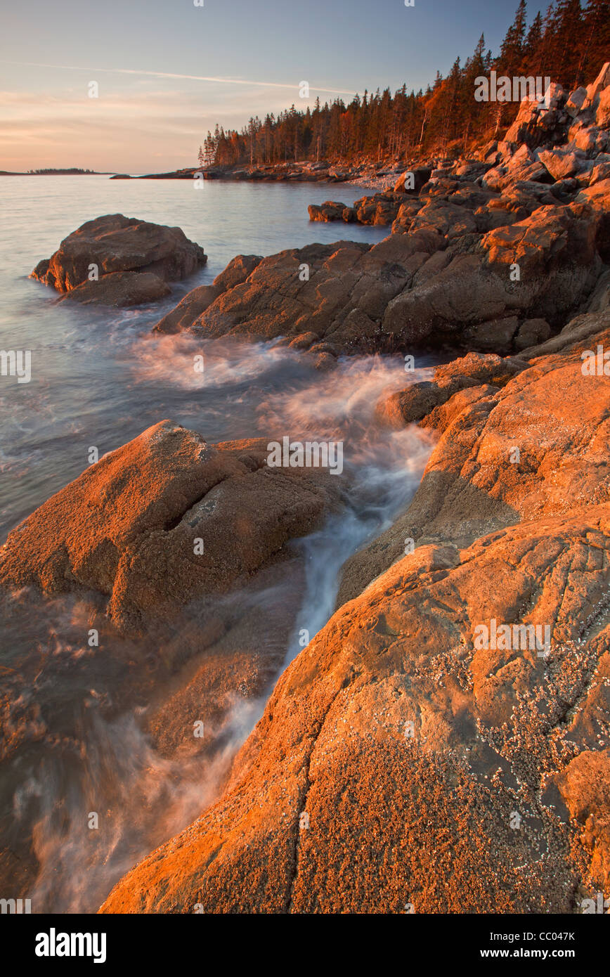 Coastline on the Schoodic Peninsula, Acadia National Park, Maine, USA