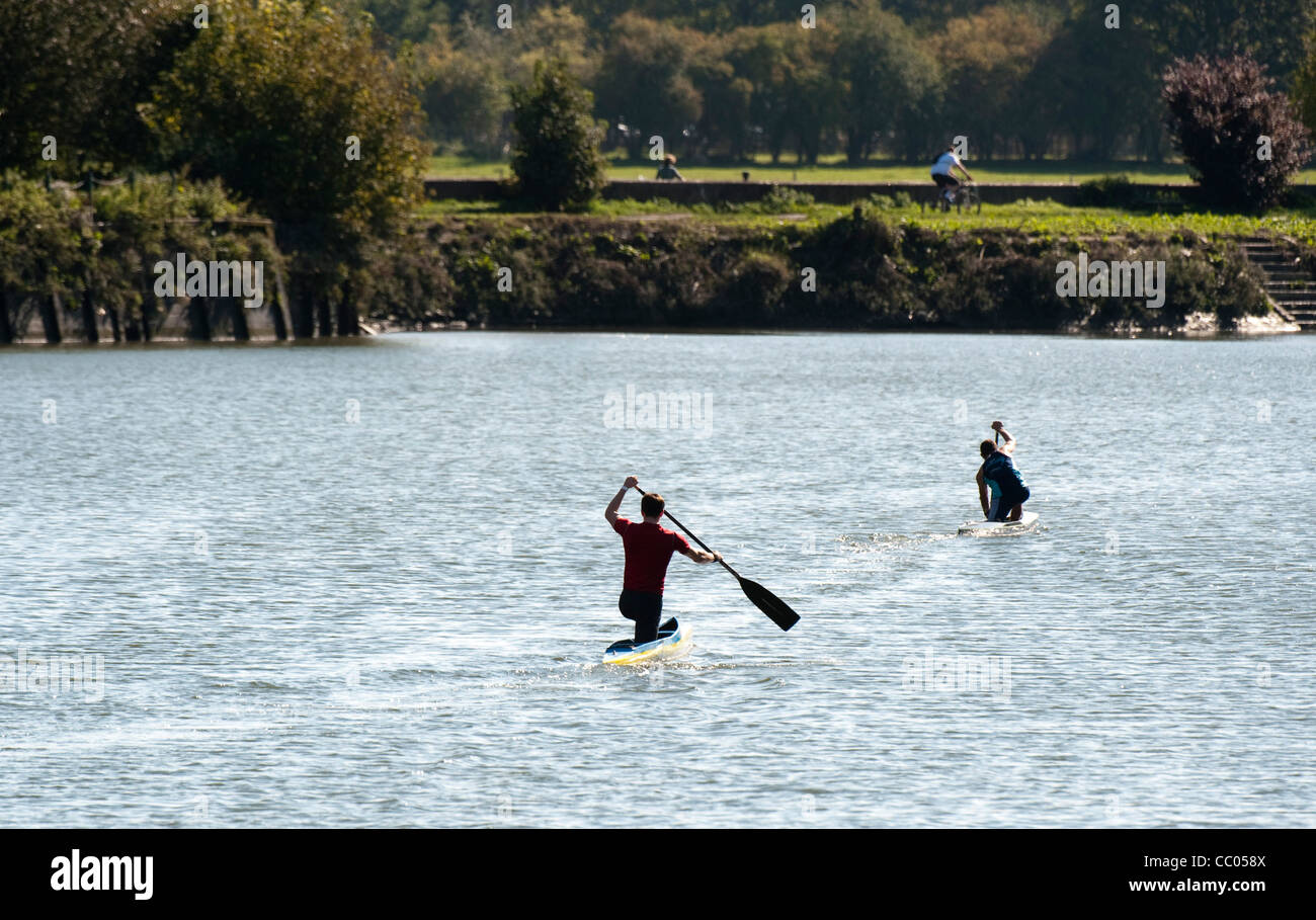 Canoe Sprinting on the Thames near Richmond Surrey Stock Photo Alamy