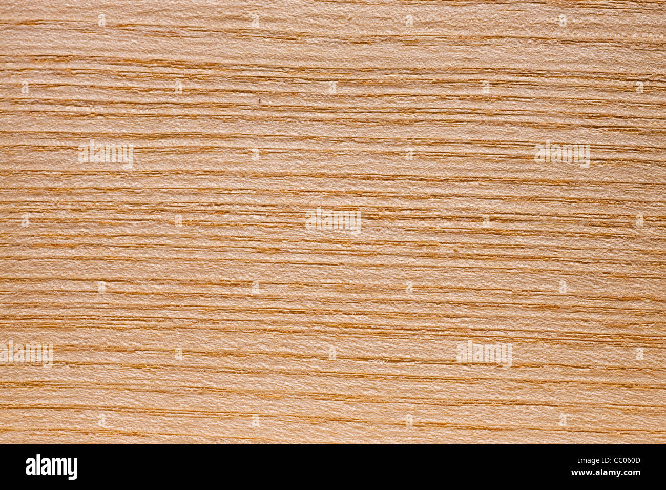 Wood grain of European Ash / Common Ash (Fraxinus excelsior), Europe