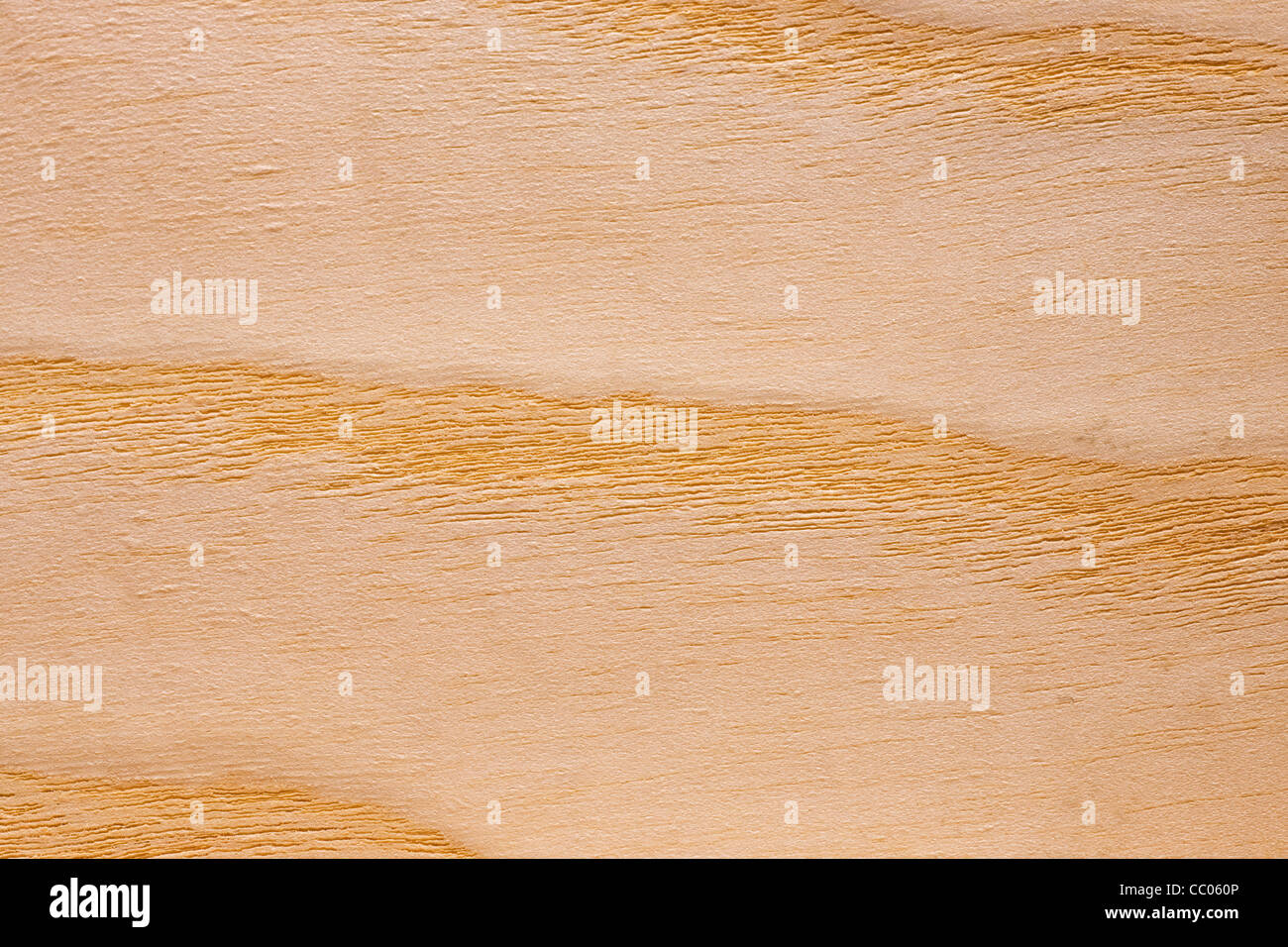 Wood grain of European Ash / Common Ash (Fraxinus excelsior), Europe