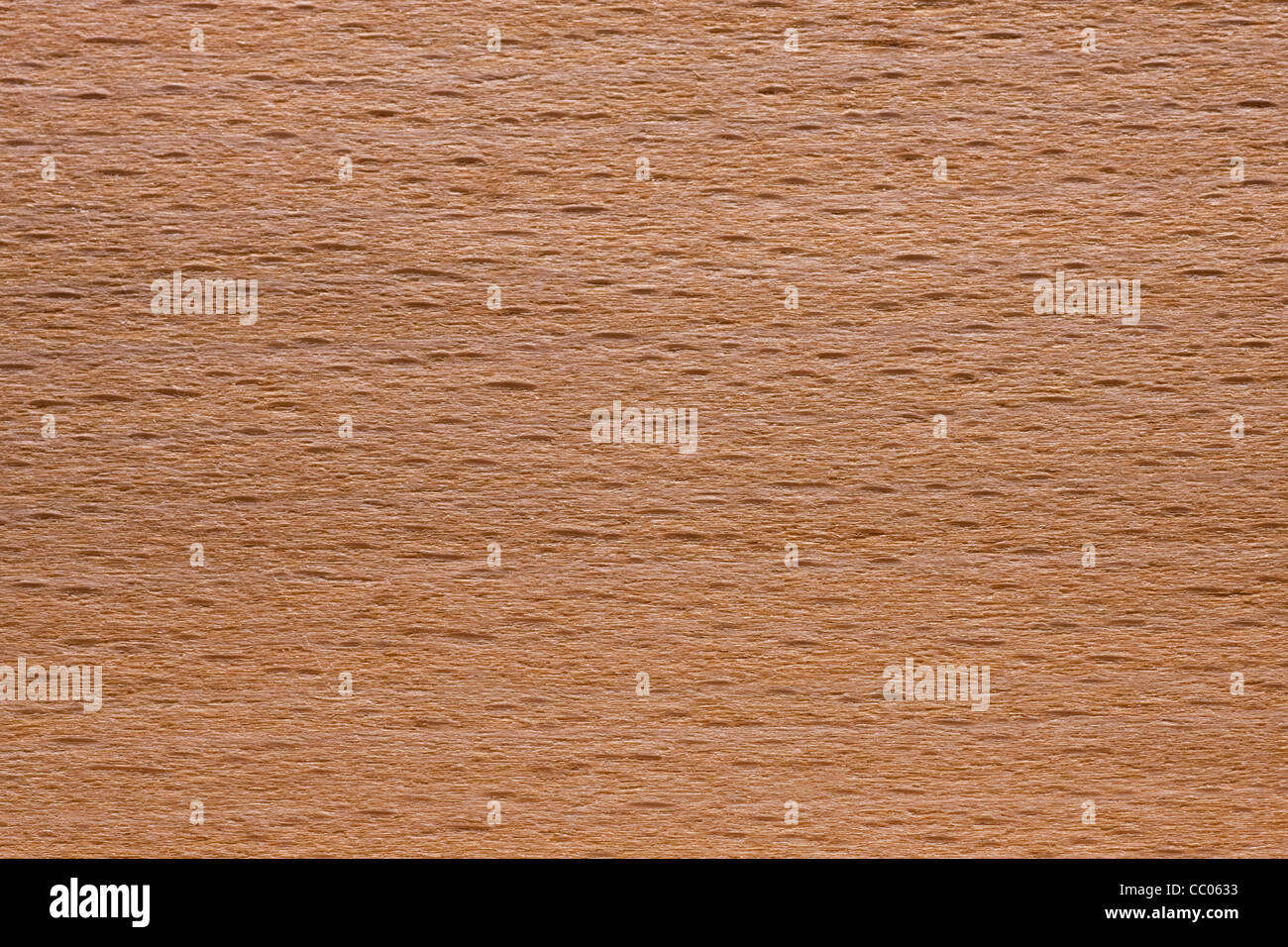 Wood grain of European Beech / Common Beech (Fagus sylvatica), Europe Stock Photo