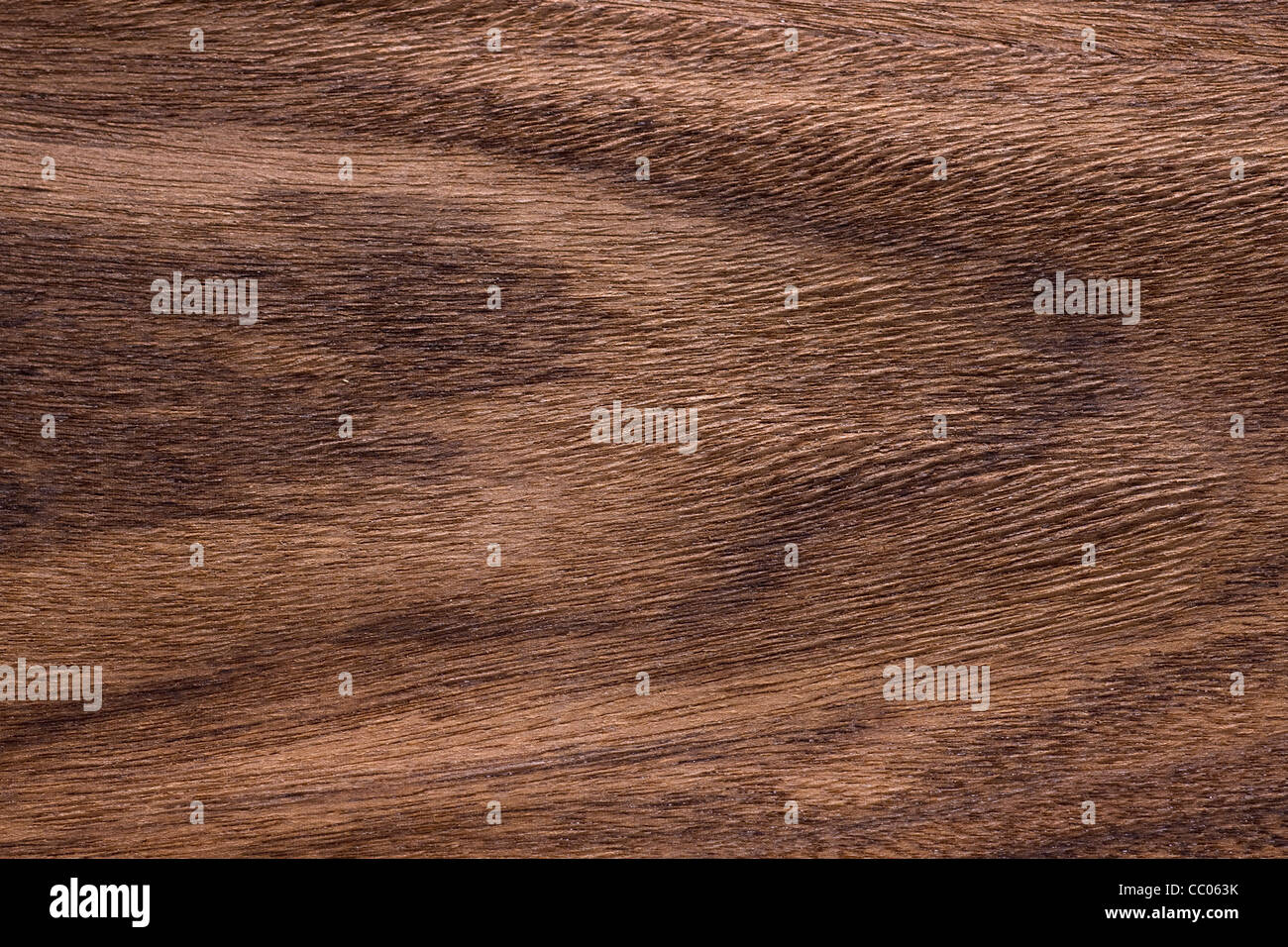 Brazilian Rosewood / Kingwood (Dalbergia cearensis), Brazil Stock Photo