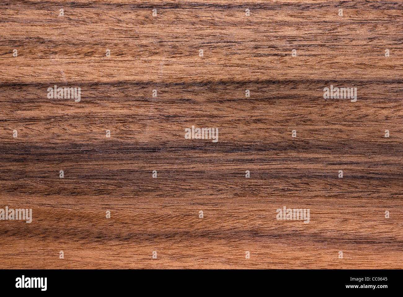 Brazilian Rosewood / Kingwood (Dalbergia cearensis), Brazil Stock Photo