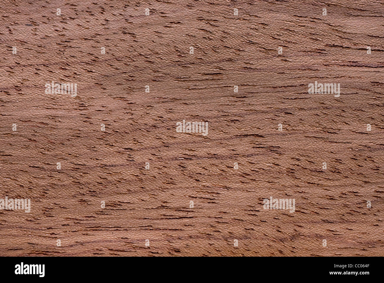 Wood grain of bubinga (Guibourtia demeusei / Copaifera laurentii), Africa Stock Photo