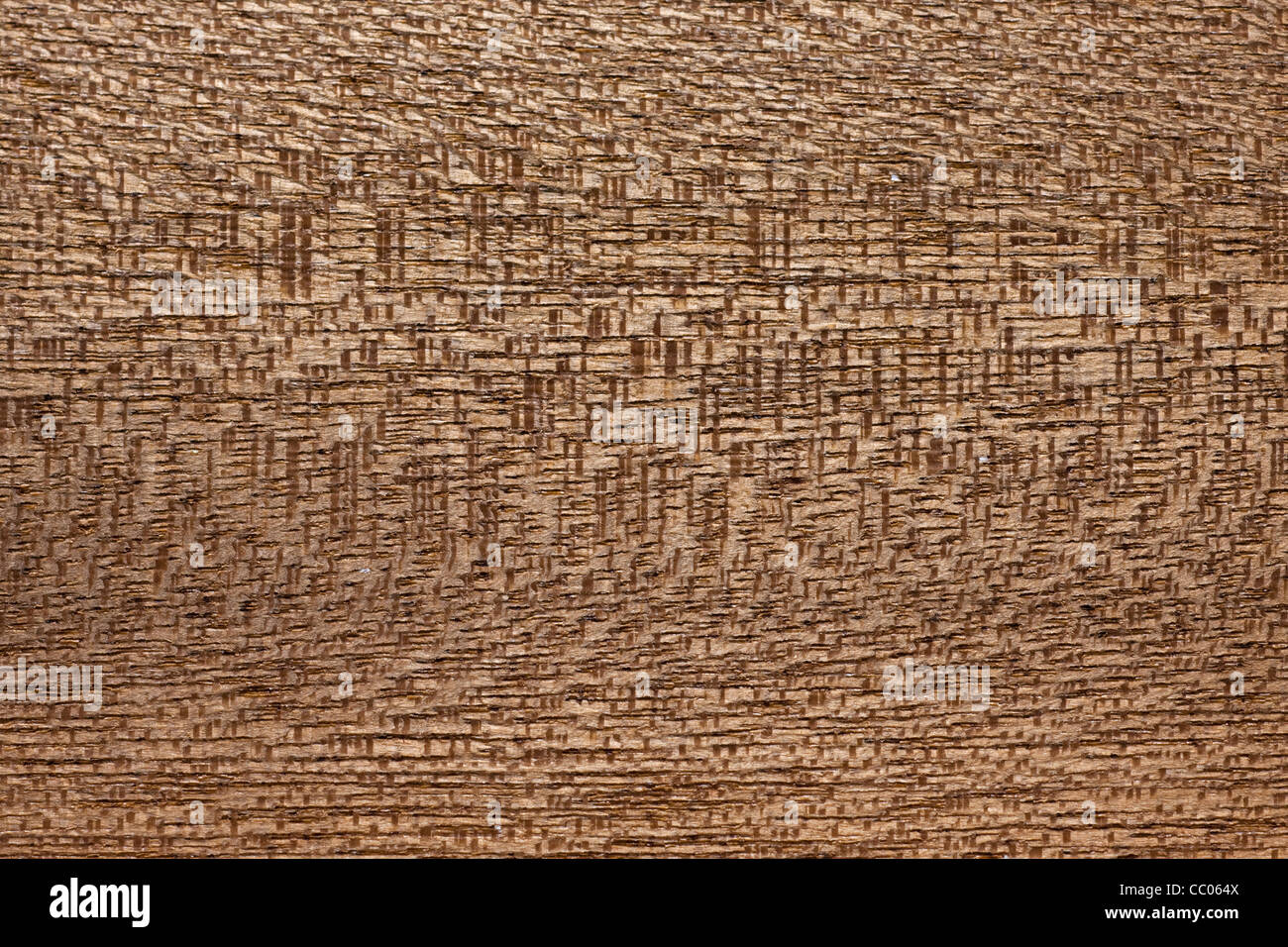 Wood grain of Dibetou wood (Lovoa trichiliodes), Africa Stock Photo