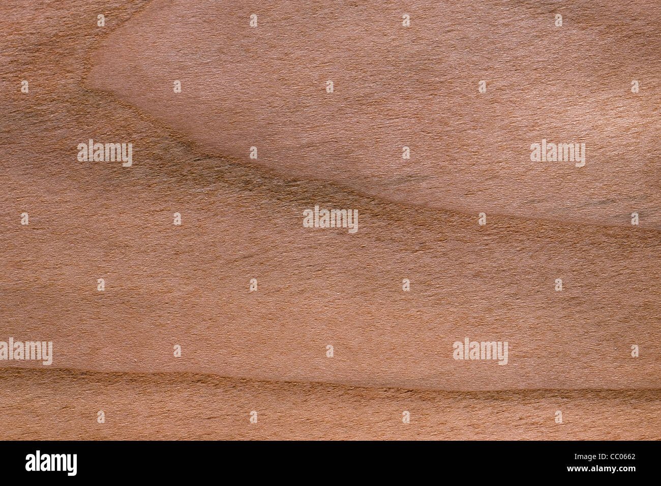 Wood grain of black cherry (Prunus serotina), North America Stock Photo