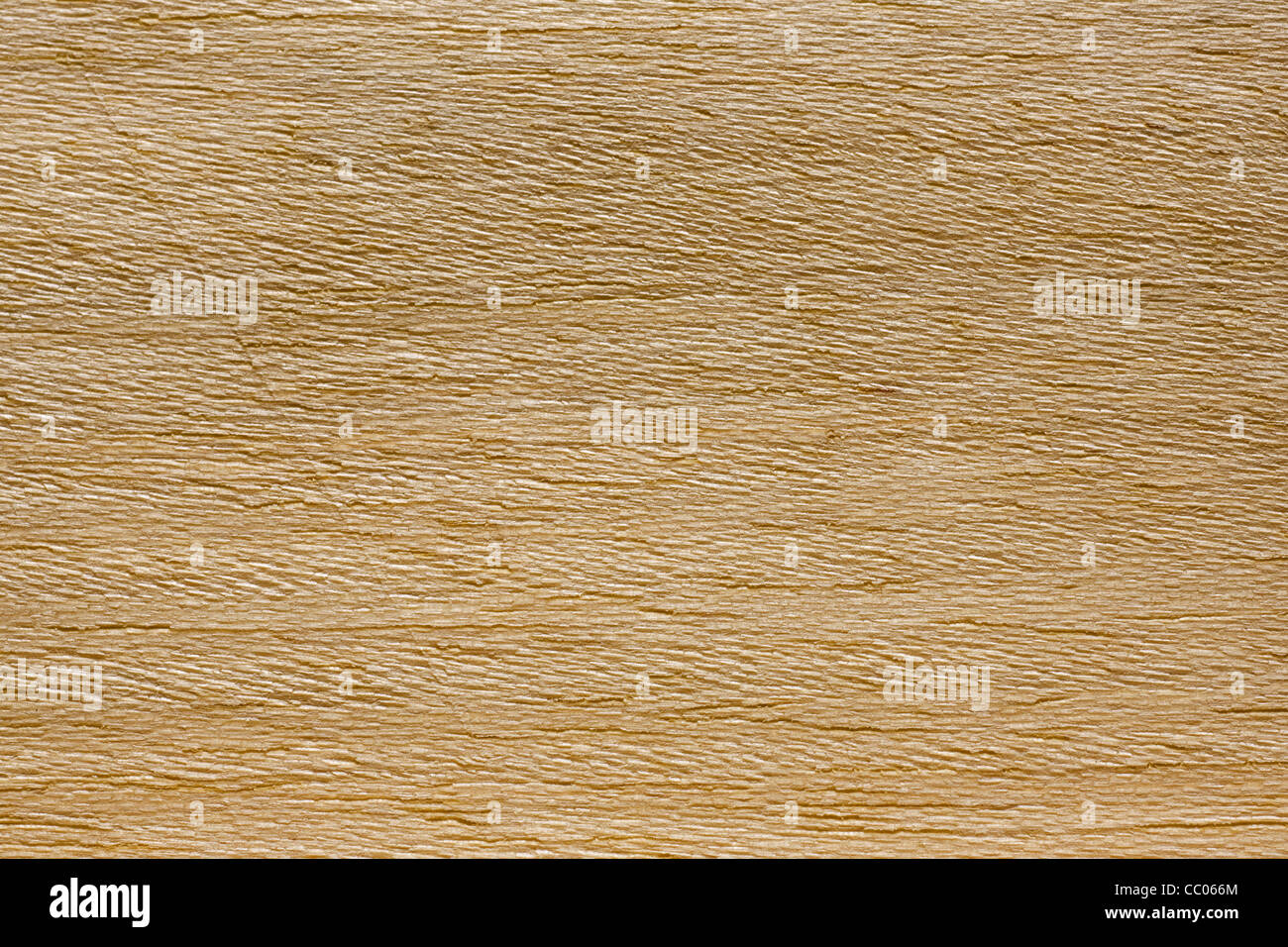 Wood grain of Koto (Pterygota bequaertii), Africa Stock Photo