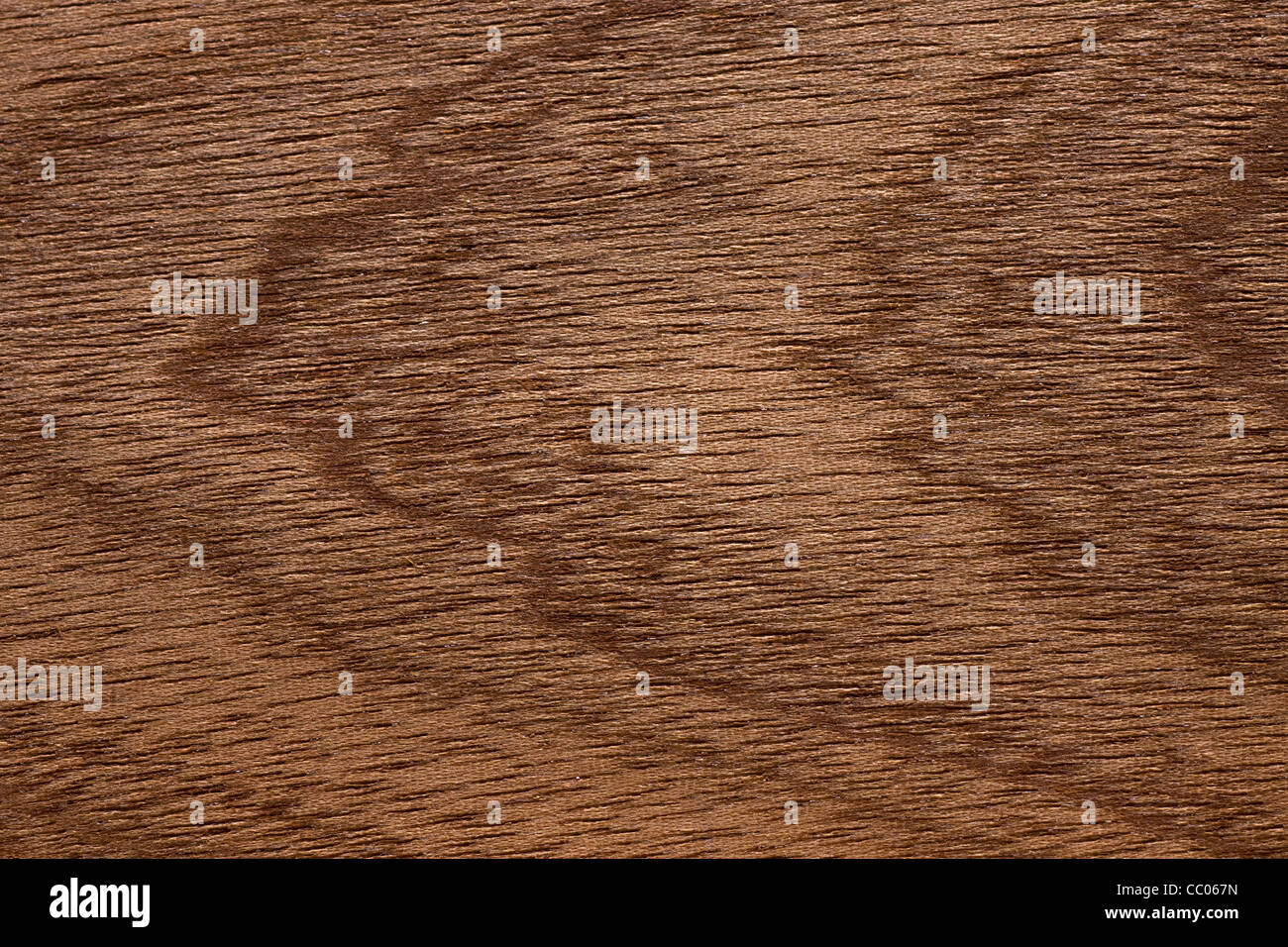 Wood grain of Sapele / Sapelli / Aboudikro (Entandrophragma cylindricum), Africa Stock Photo