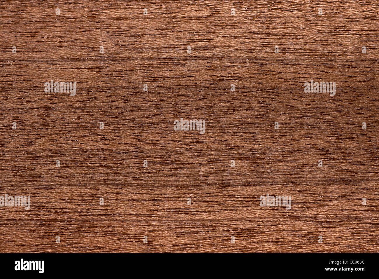 Wood grain of Sapele / Sapelli / Aboudikro (Entandrophragma cylindricum), Africa Stock Photo