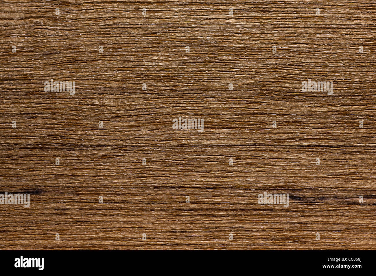 Wood grain of teak (Tectona grandis), Asia Stock Photo