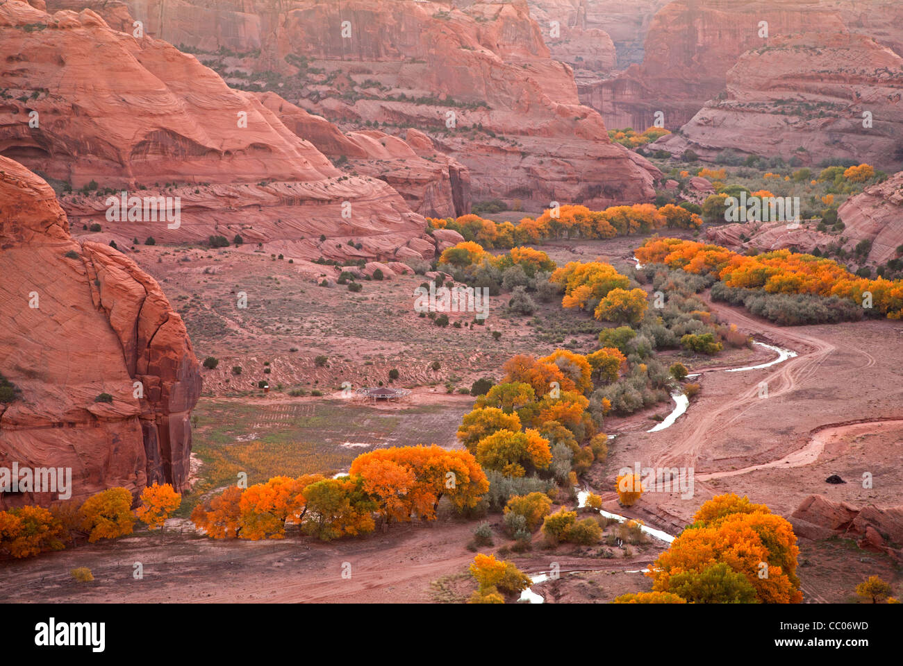 Cottonwood canyon wash hires stock photography and images Alamy