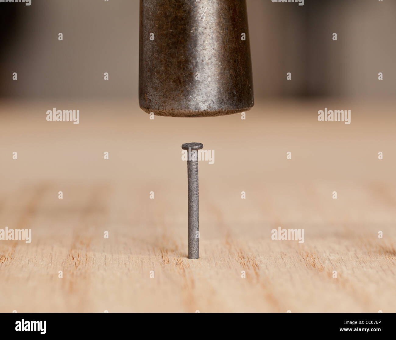 Nail being driven into wood by hammer Stock Photo