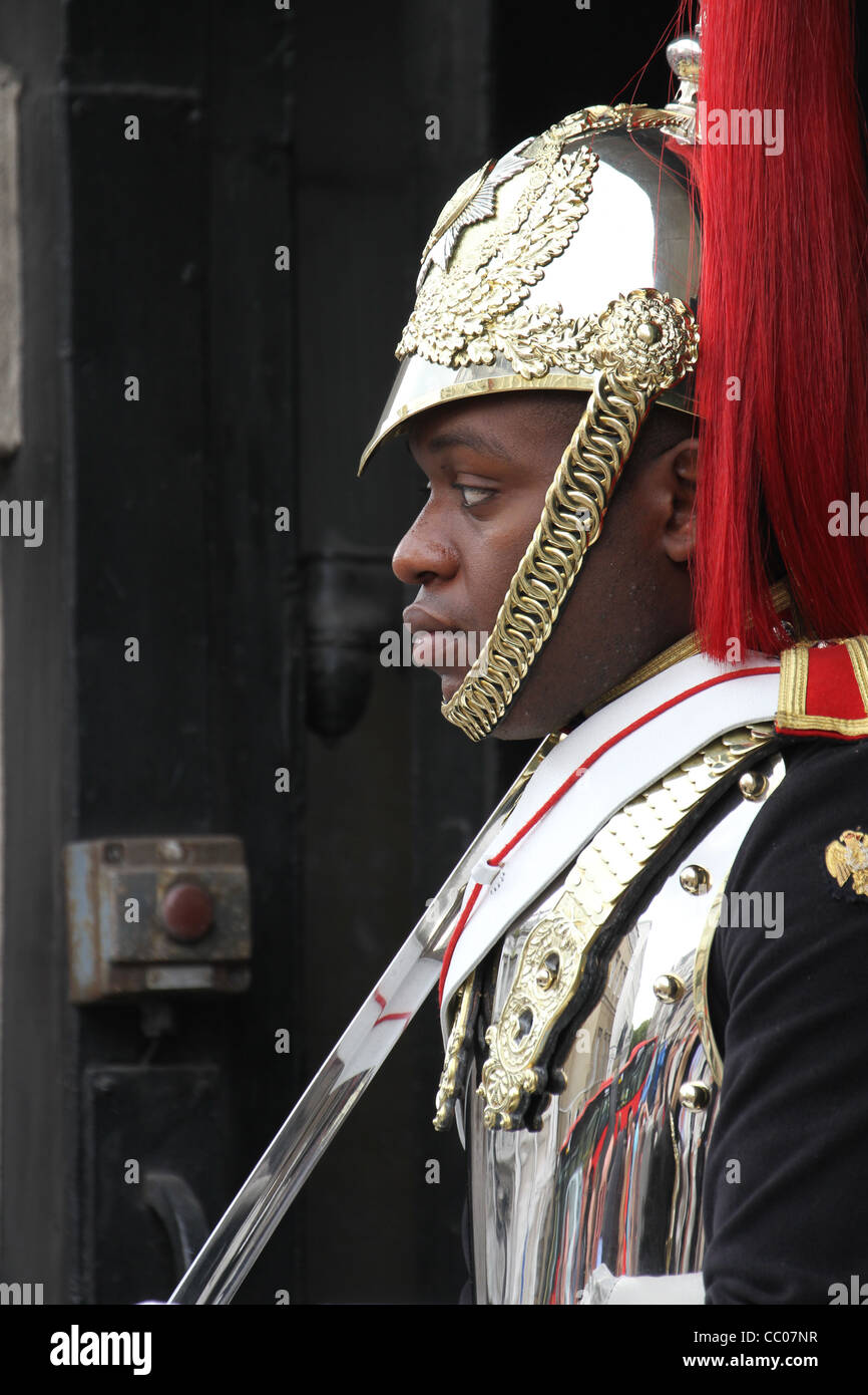 London, UK January 1, 2011 A mounted Queen's Guard on duty at Horse