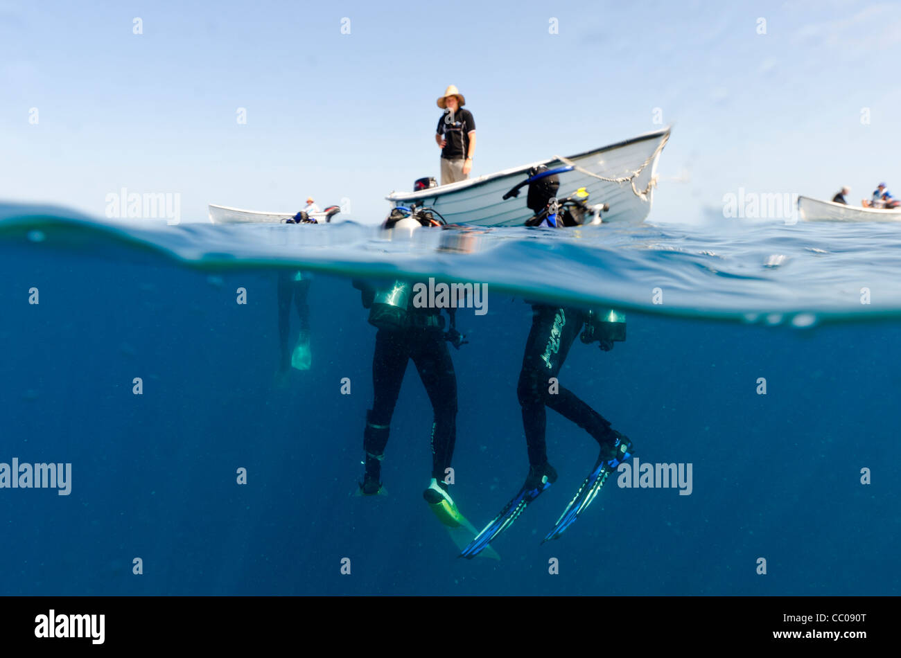 Split photo, partly above water and partly below water, of Scuba divers ...