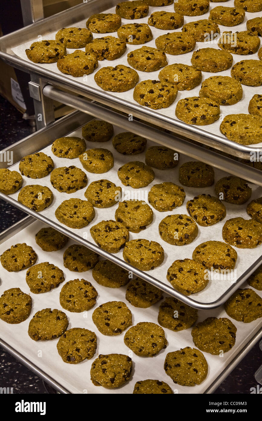 Gluten-free cookies arrayed on baking trays Stock Photo