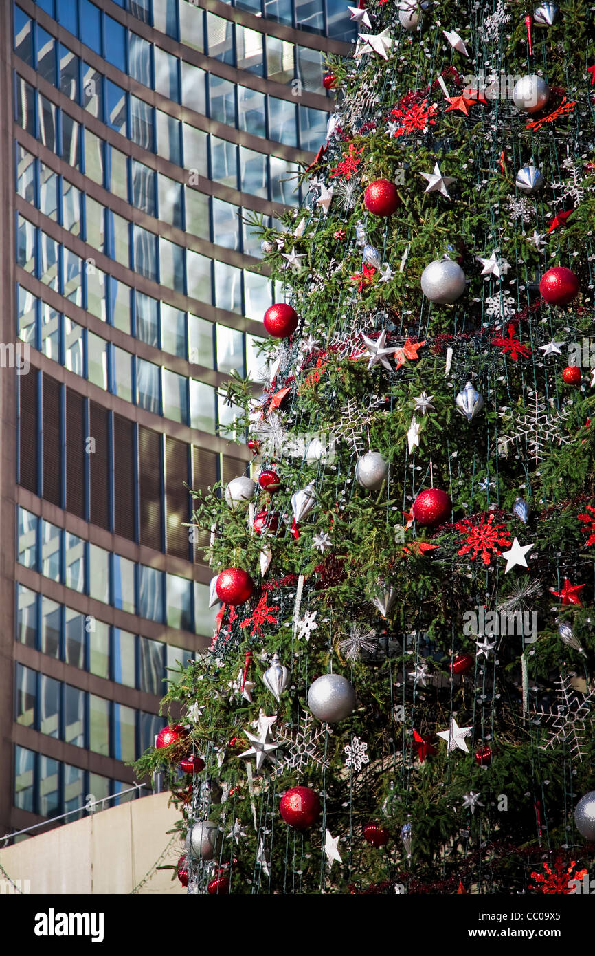 Canadian christmas tree hires stock photography and images Alamy