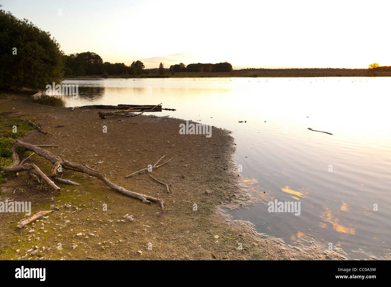 water edge at lake in Suffolk, UK Stock Photo