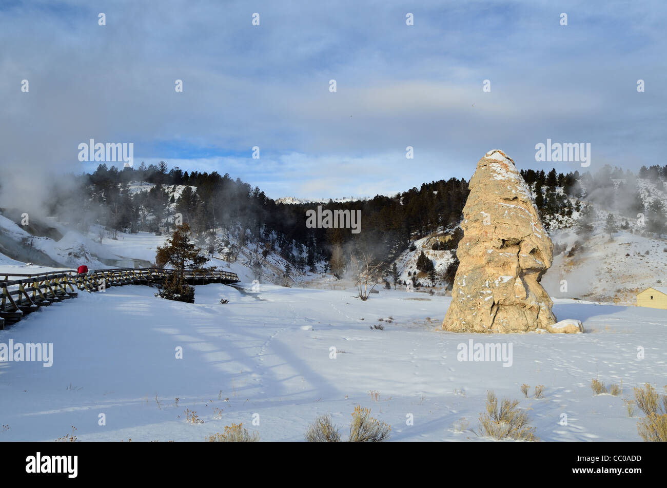 Liberty Cap, a travertine tower from a dormant hot spring. Mammoth Hot Springs, Yellowstone National Park, Wyoming, USA. Stock Photo