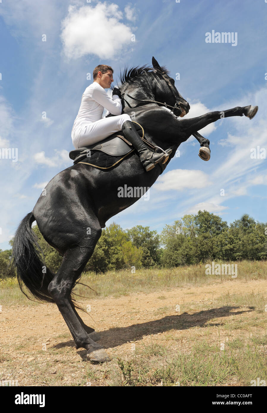 young man and his beautiful black stallion rearing up Stock Photo