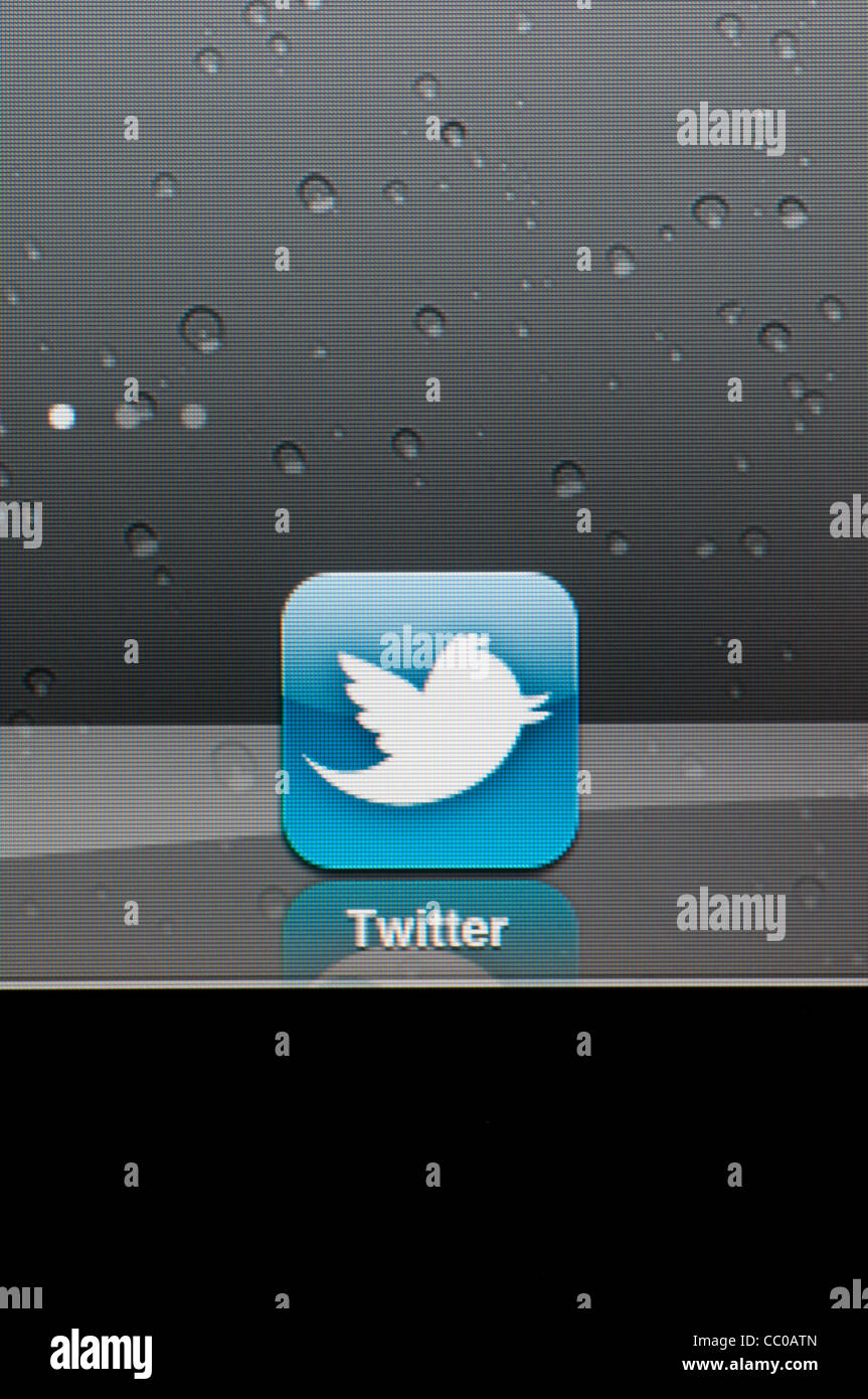 Twitter app on ipad Stock Photo