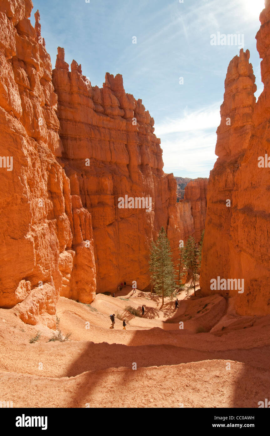 Hikers descending a switchback trail in red sandstone hoodoos of Bryce Canyon National Park Stock Photo
