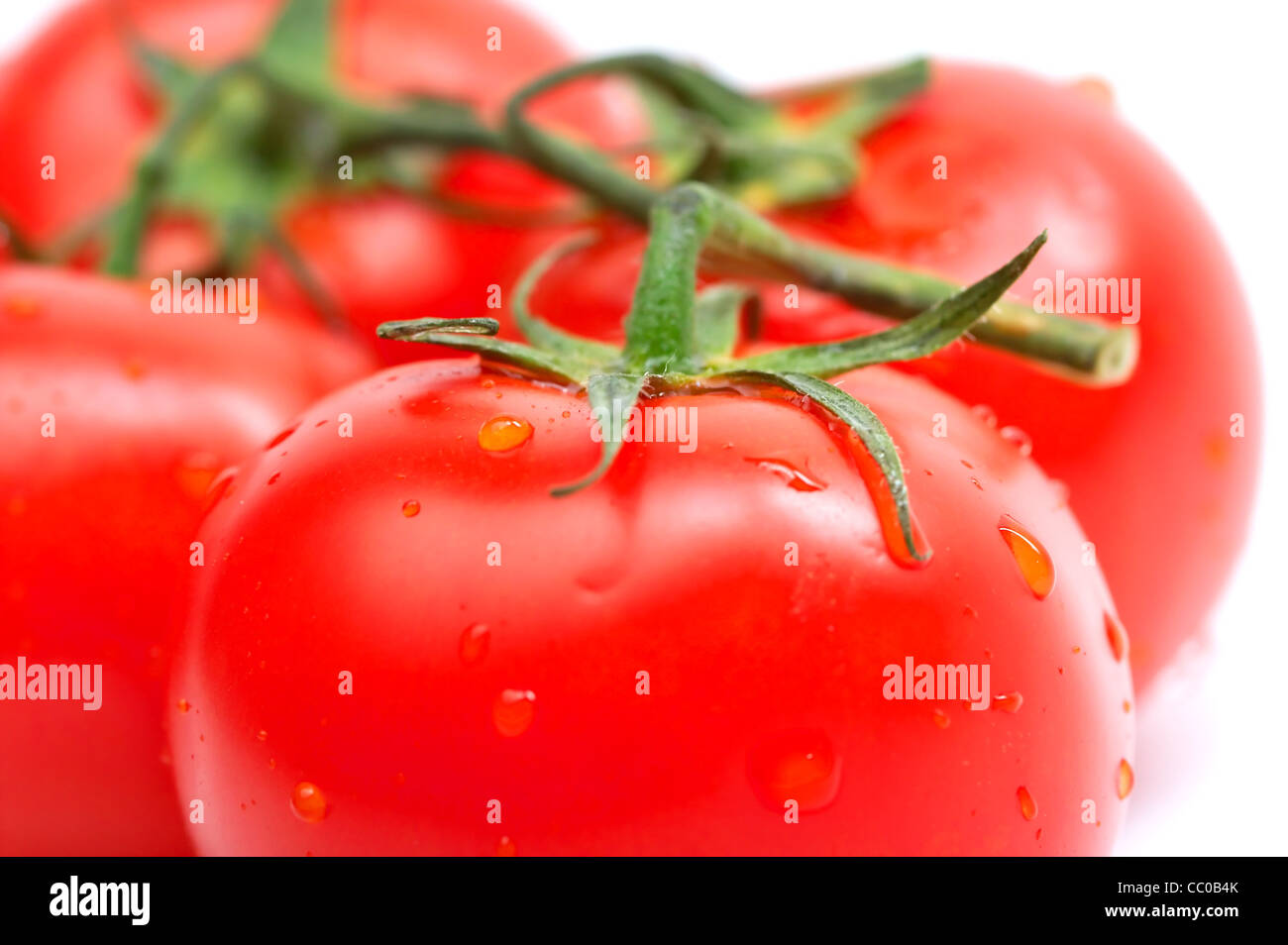 Closeup of tomatos isolated on white background Stock Photo - Alamy