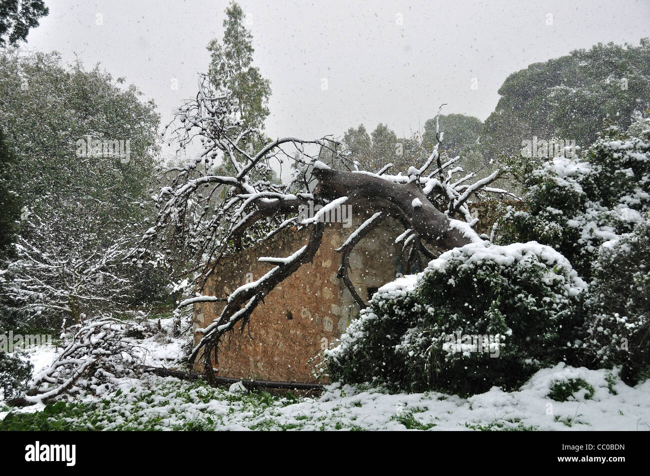 House ice storm hires stock photography and images Alamy