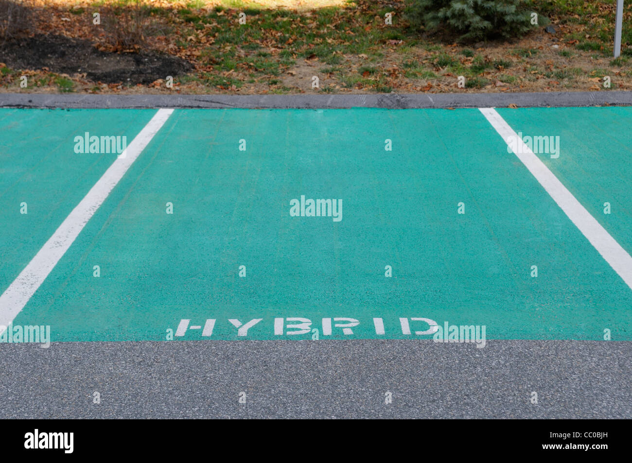 Preferred parking spaces reserved for hybrid gas-electric cars at an eco-friendly hotel in Massachusetts Stock Photo