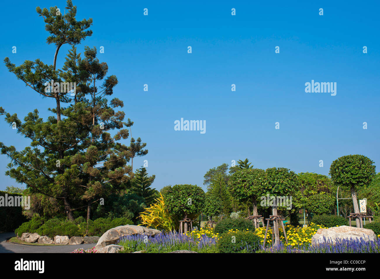 Flowers and trees in national park with clear sky Stock Photo - Alamy