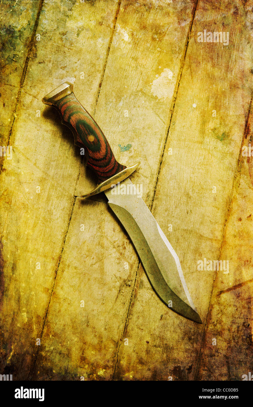 Hunting knife on the floor Stock Photo Alamy