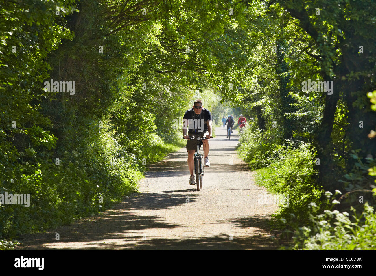 Man cycling along the Wirral Way footpath, Wirral, UK on a warm late spring afternoon Stock Photo