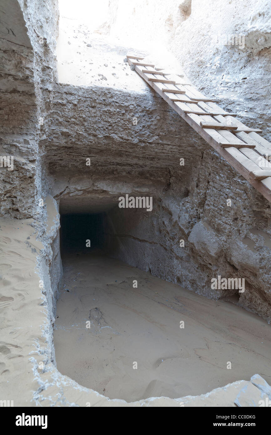 photo Senusret Iii Tomb https www alamy com stock photo view of the modern ladder and ramp leading to the middle kingdom tomb 41807348 html