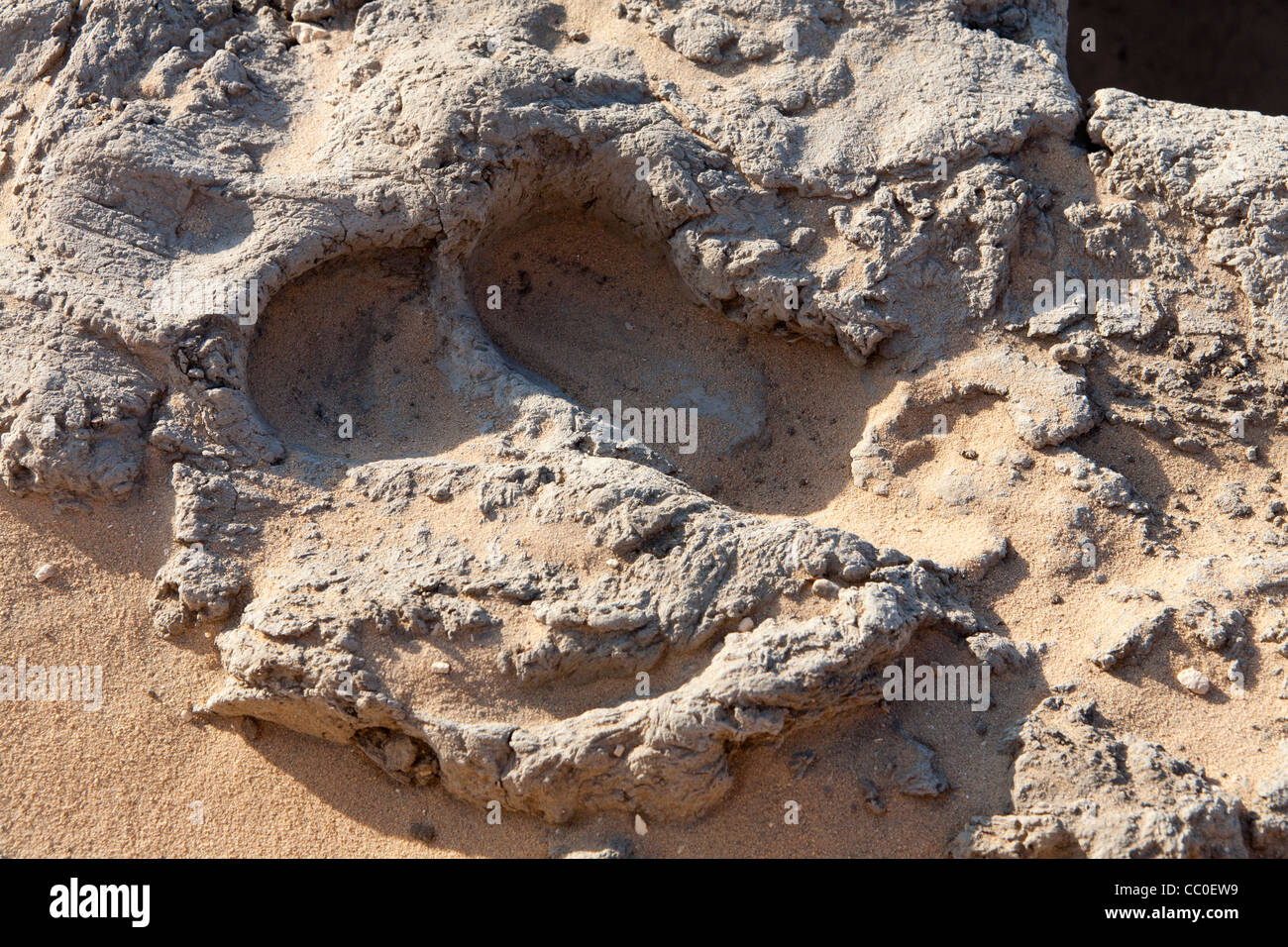 Close up of footprint in the baked mud of the mudbrick tomb of King Djer of the 1st Dynasty. 3000BC Abydos, Middle Egypt. Stock Photo