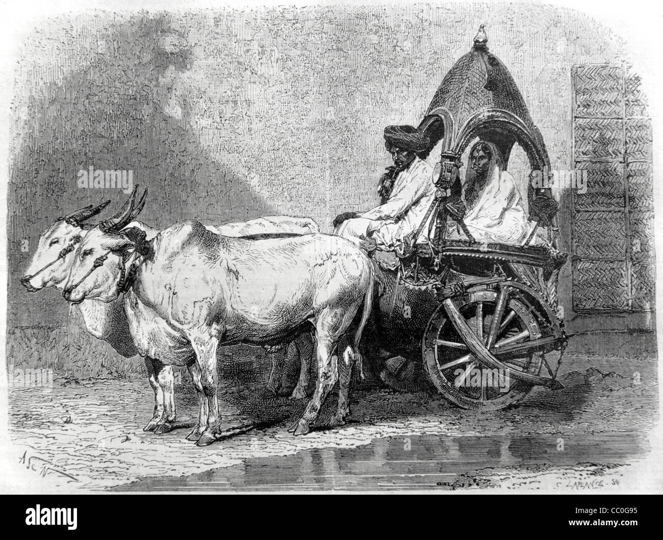 Buffalo Passenger Cart for Wealthy High Caste Hindus, often Brahmin Indians, India, 1868 Engraving or Vintage Illustration Stock Photo